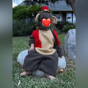 Aladdin, Abu costume, monkey costume